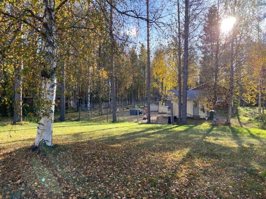 Wanha Rojola Villa Syote